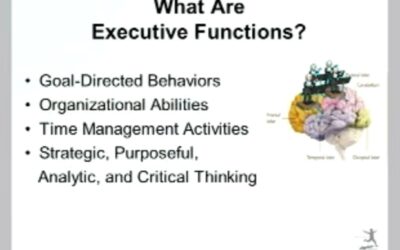 Part 1: What Is Executive Function?